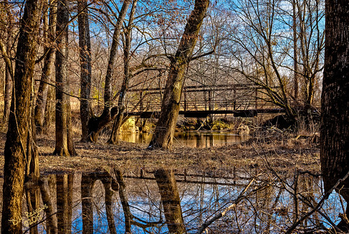 bridge abandoned cool afternoon unitedstates alabama sunny somerville daytime february decaying creekbed derlict ironwooddeck cotacocreek bridgehunteridbh66347