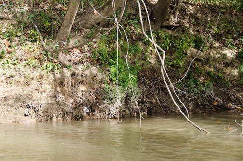river fishing alligator kayaking snare wetumpka coosa kayakfishing jordandam kayakbassfishing