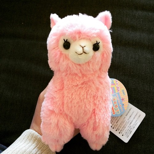 Awww, look what just arrived! You could win this cutie if you go vote in the SCK Awards at supercutekawaii.com