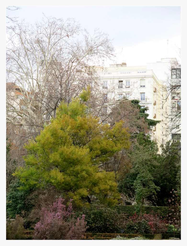 Jardín Botánico de Madrid en febrero-