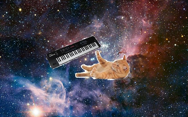 a cat on syntesizers in space