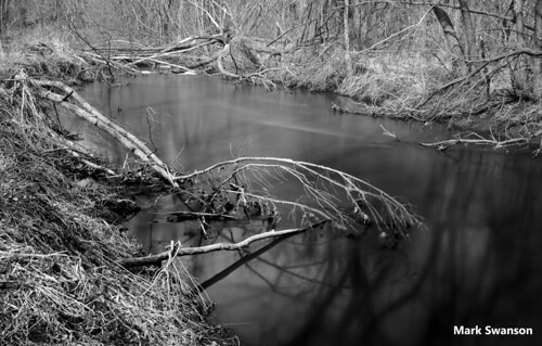 trees bw white black nature monochrome landscape spring nikon stream michigan 106 1855mm ansel d5100