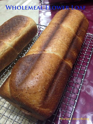 bread_wholemeal01
