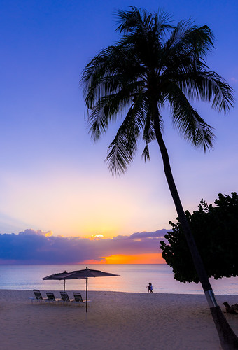 ocean sunset tree beach water sunrise walking silk magenta peaceful grand palm tropical orangesky cayman bluecolor 7mile