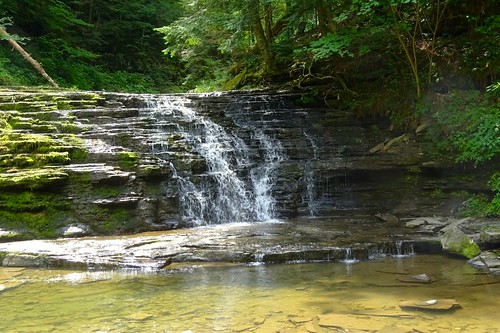 montrose pennsylvania saltspringsstatepark fallbrooktrail fallbrook gorge firstfalls waterfall summer pool grotto brook