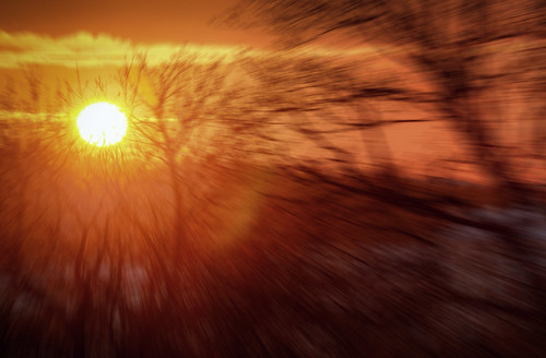 trees sunset sky orange cloud sun color nature zoom sweden branches lensflare uppsala sverige hdr botan zoomeffect trädgården botaniska