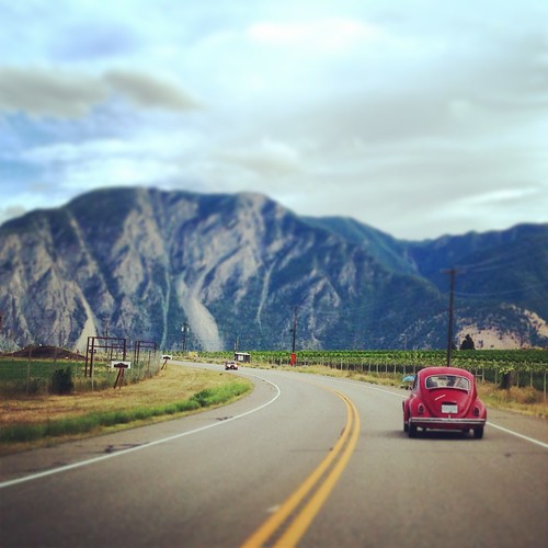 canada bc britishcolumbia okanagan roadtrip 加拿大 instagram