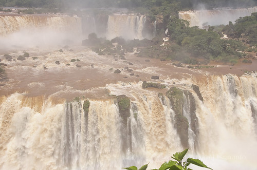 【写真】2015 世界一周 : イグアスの滝（ブラジル側）/2016-12-14/PICT7575