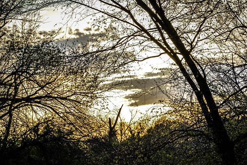 sunset kentucky campsite frankfortkentucky elkhorncreek pamschreckcom photographerpamelaschreckengost elkhorncampground ©pamelaschreckengost
