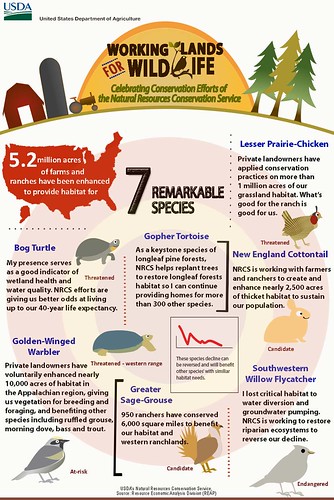 Meet seven at-risk species that benefit from habitat restoration and enhancement through NRCS’ Working Lands for Wildlife partnership. Infographic by Jocelyn Benjamin. Click to enlarge.