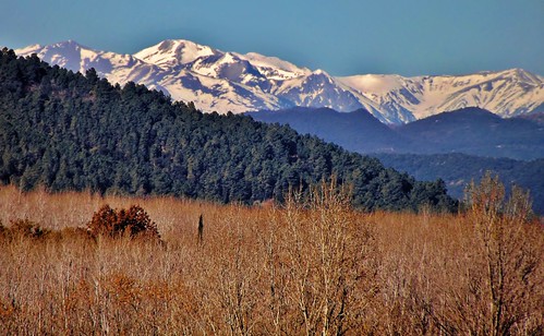 catalonia tricolor catalunya cataluña neu pirineo laselva pirineu bonmatí pirineuoriental paisatgehivernal santjuliàdelllor