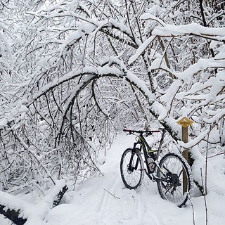 happy trail #winter #winterpokal #zegligerberg #specialized #mtb #mountainbiking #vtt #iamspecialized #snowride