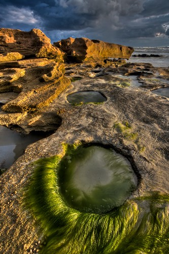 sunrise rocks flickr florida barnacles fl atlanticocean coquina flaglercounty flaglerrivertoseapreserve
