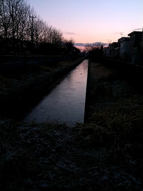 凍てる小川
