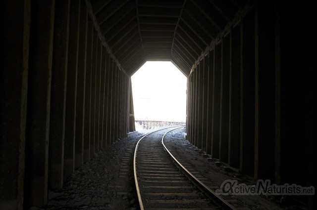 view 0022 DeAnza railroad trail, California, USA