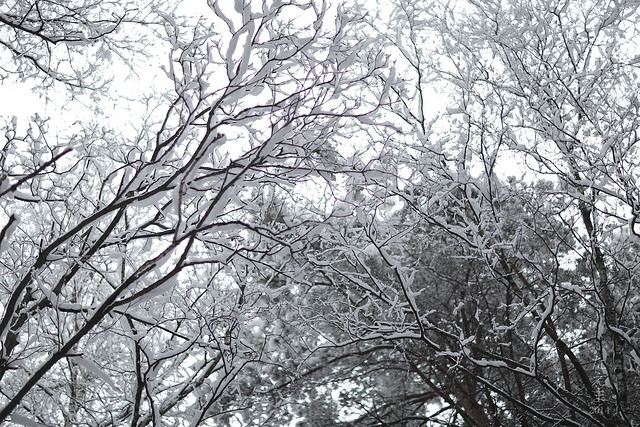 Winter2014-V2(03)