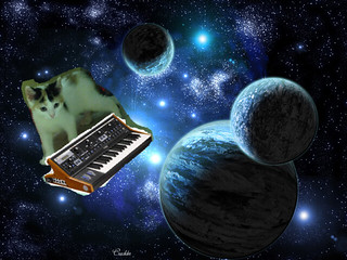 cat on synthesizer in space