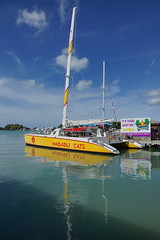 Catamaran boat