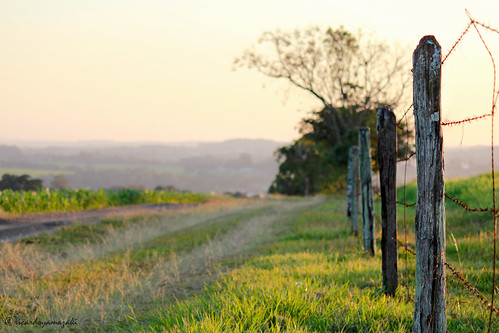 sunset green rural canon fence landscape paisagem pôrdosol estrada cerca efs55250mmf456is