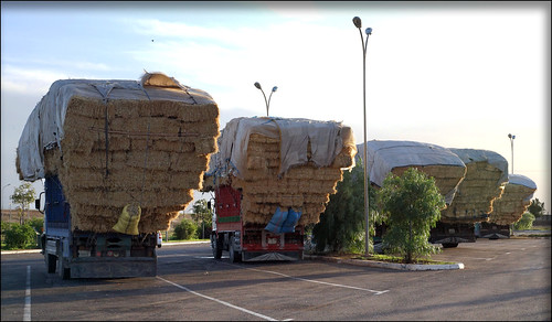 straw lorry morocco maroc stroh lkw