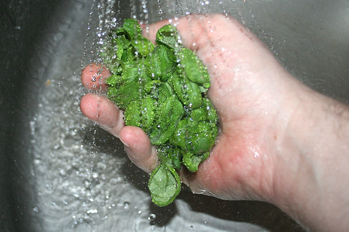 13 - Basilikum waschen / Wash basil