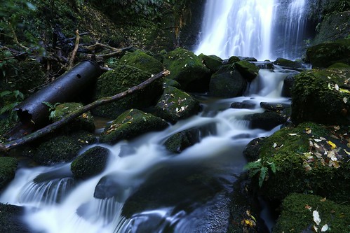 newzealand nature water forest waterfall southisland otago nativebush mataifalls aoteroa canoneos5dmarkiii nativeforrest
