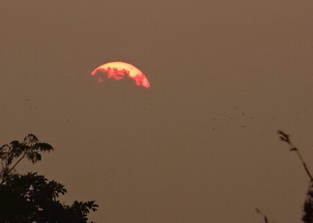 sunset sky sun india nature photography sony january hobby punjab 2015 punjabcricketassociationstadium sonydschx400v ricktoor