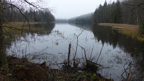 november autumn lake forest finland landscape geotagged cloudy v fin 2014 uusimaa vihti vichtis 201411 20141109 geo:lat=6027755850 geo:lon=2434573988 kypärijärvi