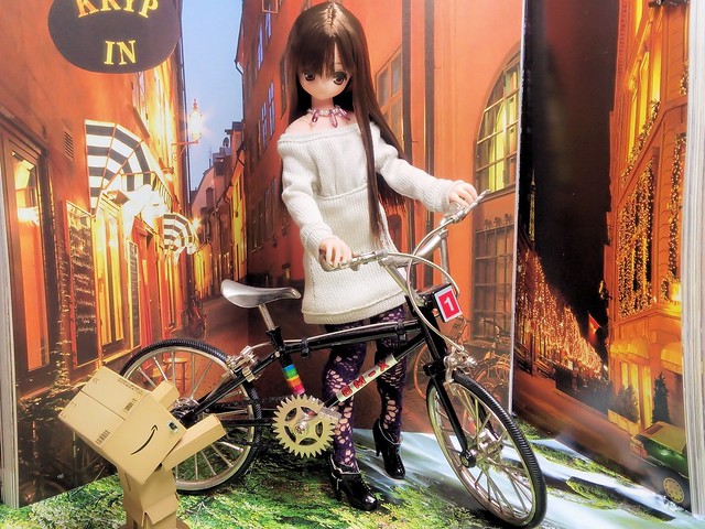 The bicycle (a present of her first anniversary, Oct. 30, 2014)