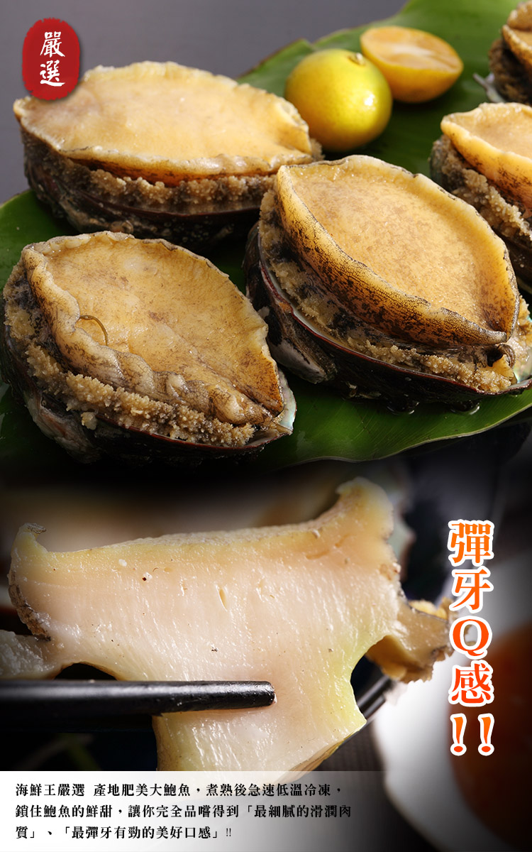 海鮮大王 東北帶殼鮮鮑魚2包組(240g±10%/包)(6顆/包)