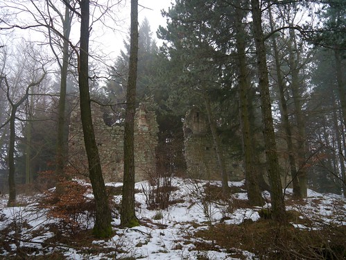 schnee trees winter snow abbey forest austria österreich ruin ruine wald bäume kloster autriche burgenland buckligewelt landsee klosterberg kamaldulenser landseerberge camaldoleses