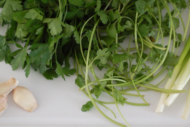 Cilantro, parsley, garlic & scallions for the falafel mix by Eve Fox, the Garden of Eating, copyright 2015