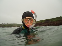 Other: Snorkelling, Pembroke (27-May-06) Image