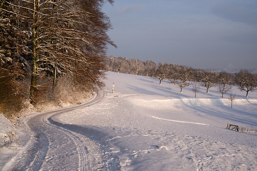 schnee winter snow landscape schweiz switzerland europe suisse zurich mp zürich svizzera 2014 svizra summiluxm leicam 50lux 141229 50mmf14asph typ240 ©toniv m2401500