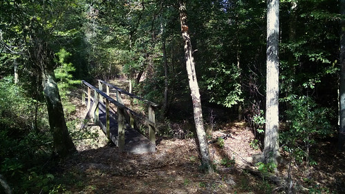 bridge forest hiking ms desoto 2014 backpakcing blackcreektrail