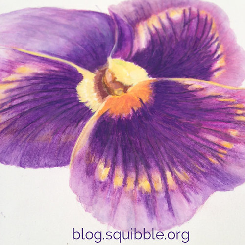 squibble_design_pansy_painting_week5_3