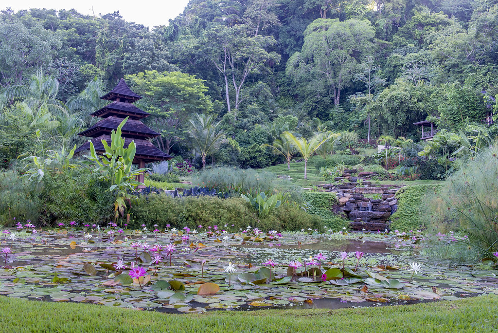 View across pond to pagoda, waterfall, rice terraces and guest house