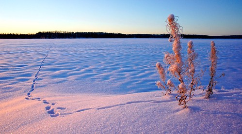 lake finland track path raven karijärvi