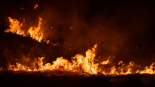 red orange field night dark fire smoke burn phl sugarcane philippinen negrosoriental ibulan
