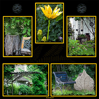 5 Garden Scenes Photo - Picture Collage