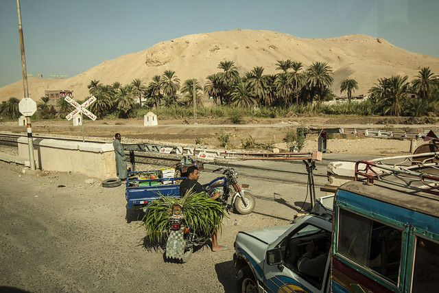 Египет 2014, 79 фото