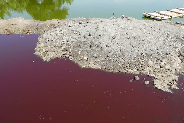 焚化爐底渣被非法回填台南市安清路魚塭，並滲出強鹼水。照片提供：看守台灣協會；攝影：黃煥彰。