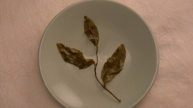 03_water_leaf