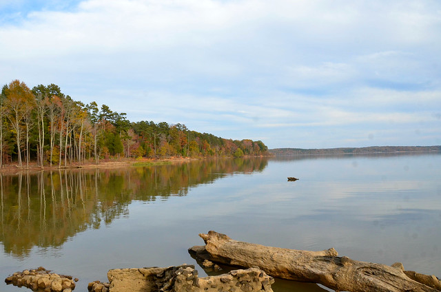 The stillness of the Buggs Island Lake drew me in at Staunton River State Park