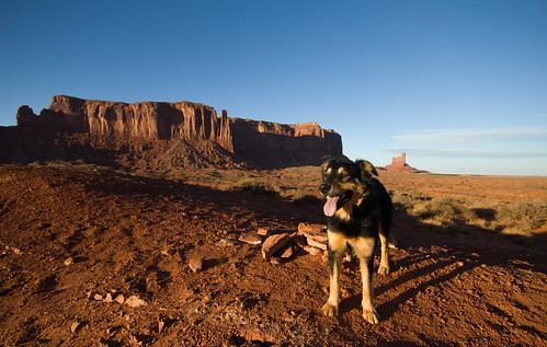 sunset arizona usa dog canon landscape utah wideangle trail monumentvalley t3i 600d gsamie guillaumesamie