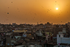 Sky filled with kites in Ahmedabad, Gujarat, India