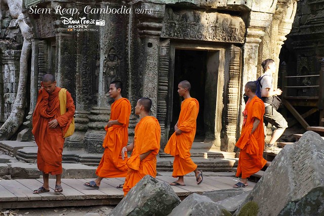 Siem Reap, Cambodia Day 2 - Ta Prohm Temple 07