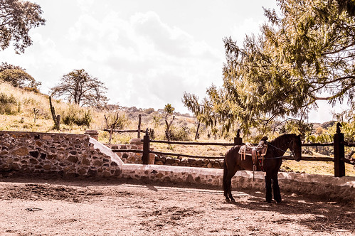 ranch horse beautiful landscape mexico photography freedom country lovely freetime picadero