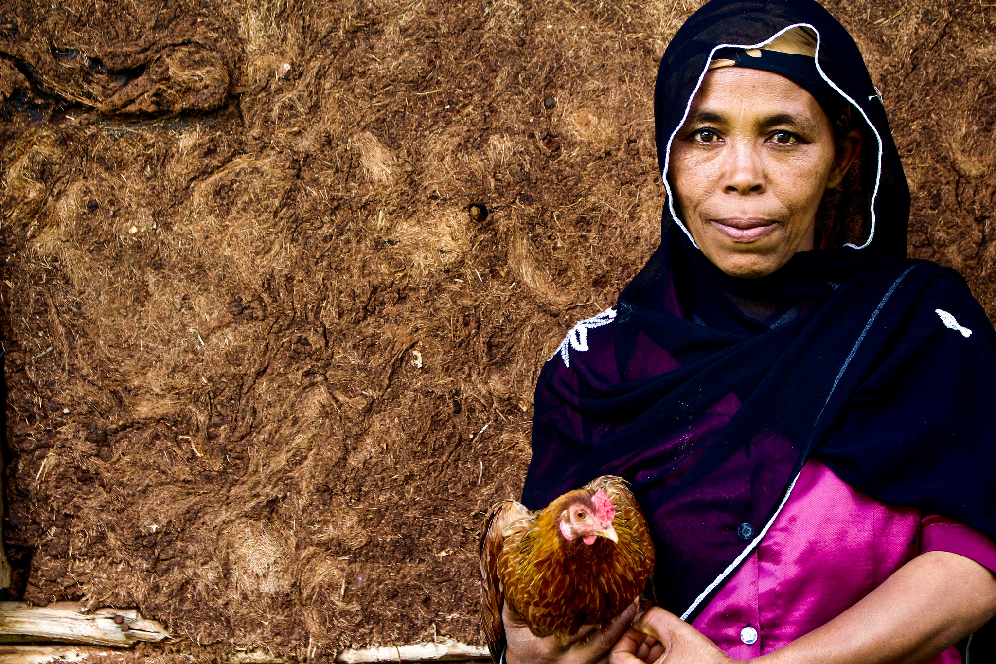Empowering women through poultry