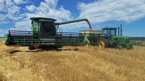 johndeere9550 combine rye harvest harvesting